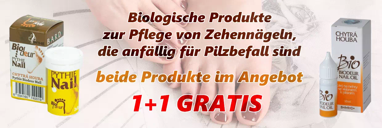 Kluger Pilz